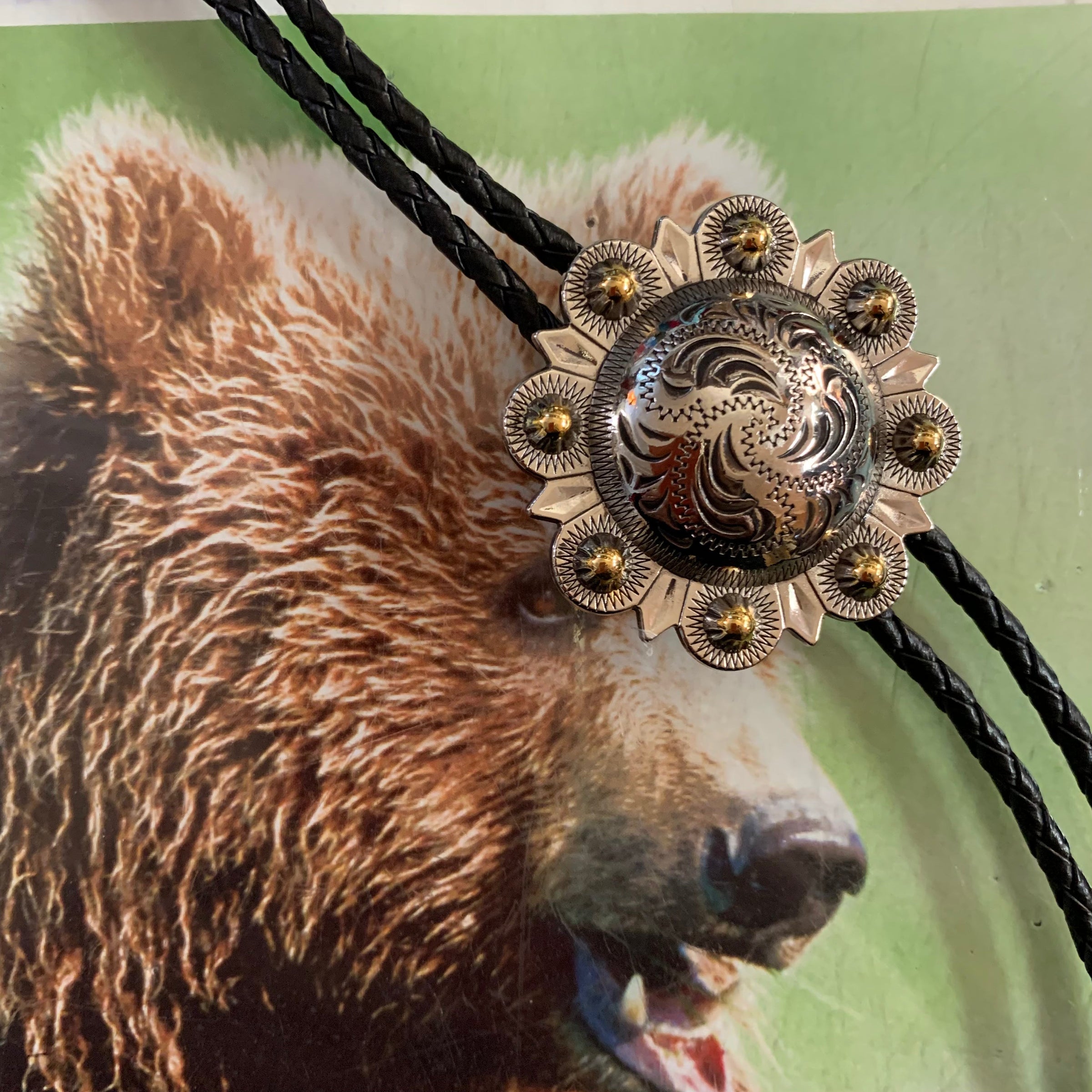 Austin Accent Bolo