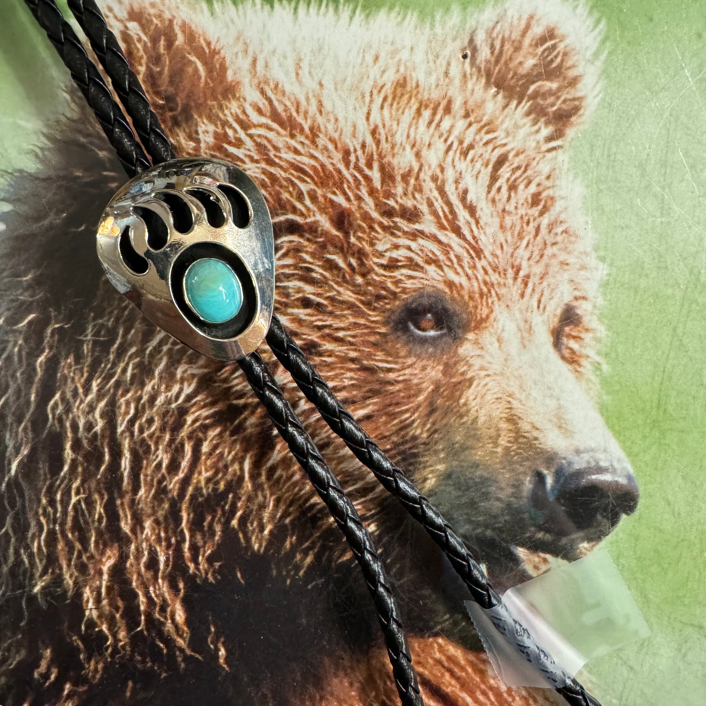 Austin Accent Bolo Bear Claw with Turquoise Stone