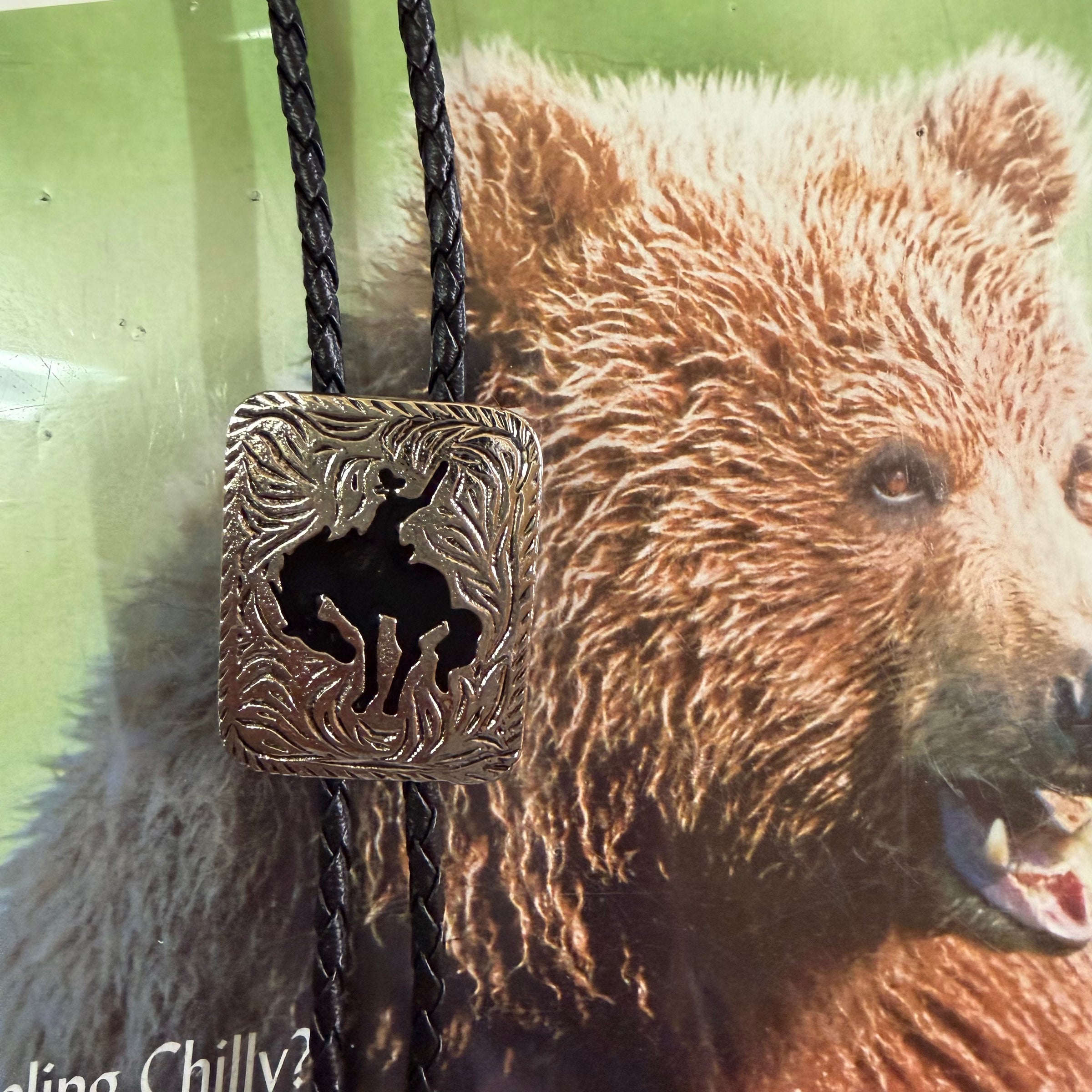 Austin Accent Bolo