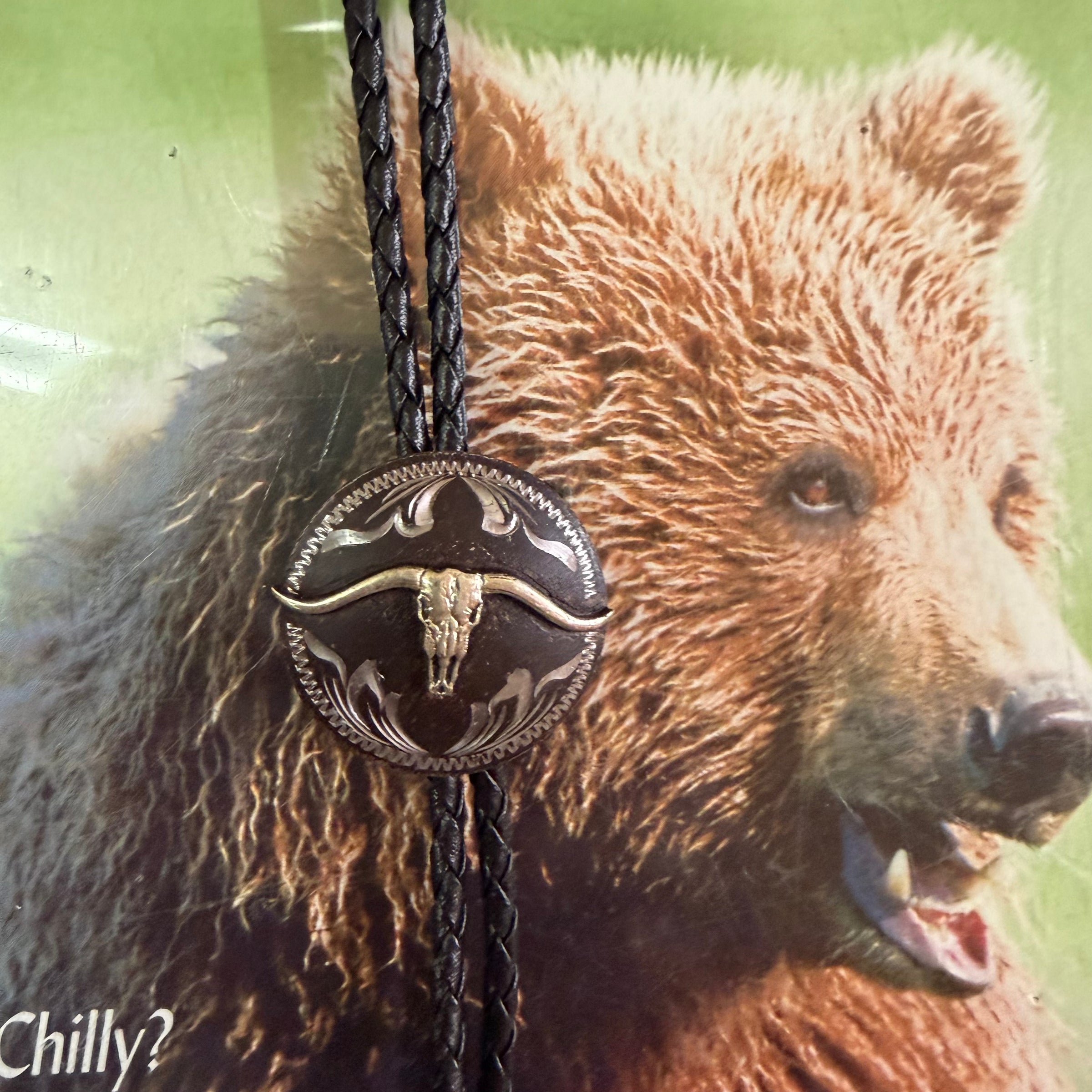 Austin Accent Bolo