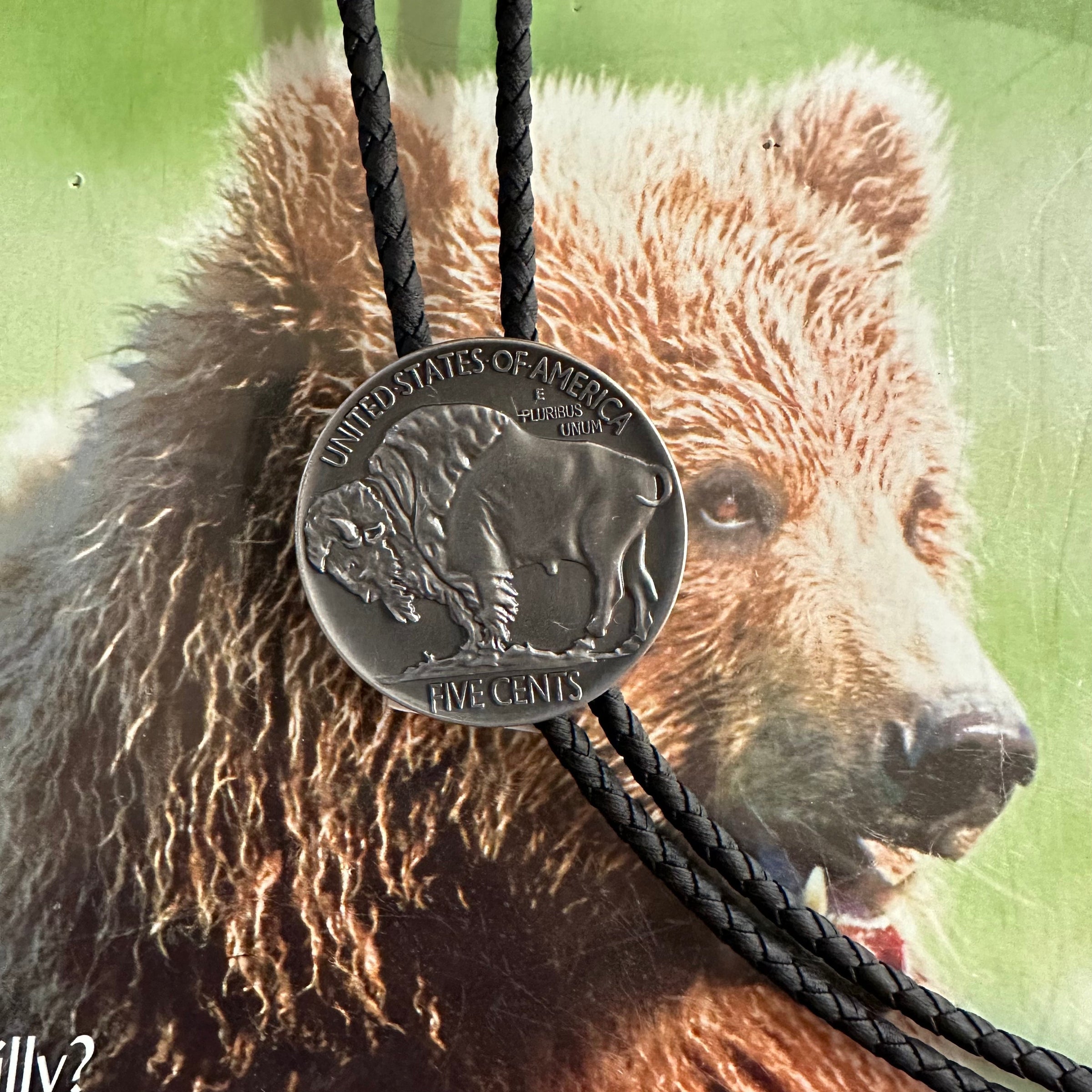 M & F Bolo