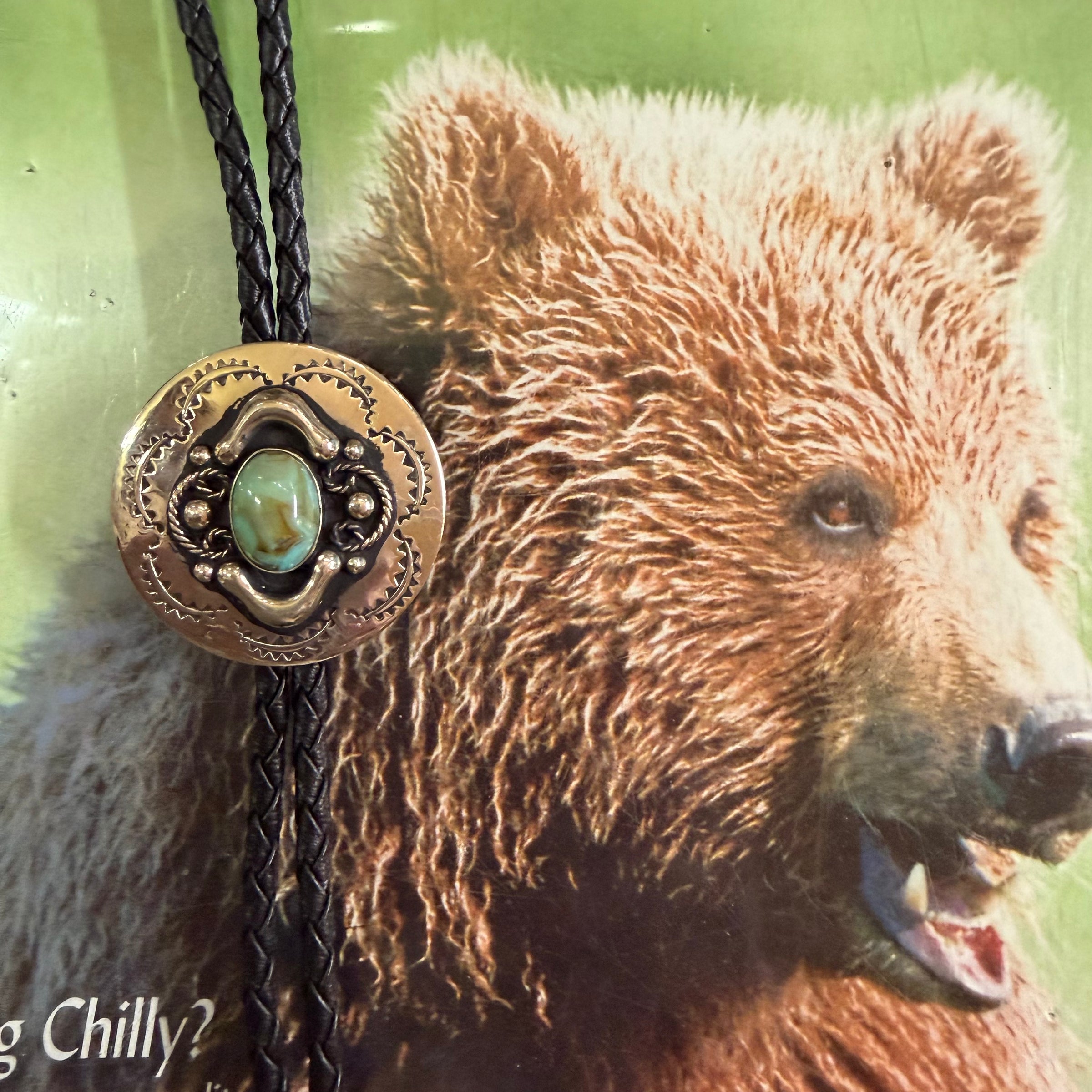 Austin Accent Bolo