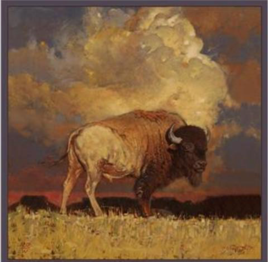 Nothing But Buffalo/Bison Silk Scarf