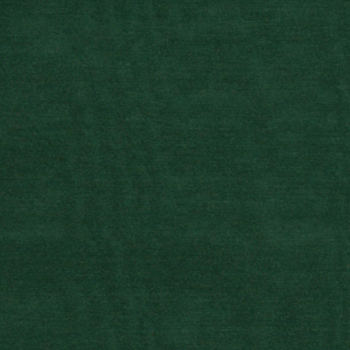 Wyoming Traders Solid Forest Green Silk Scarf