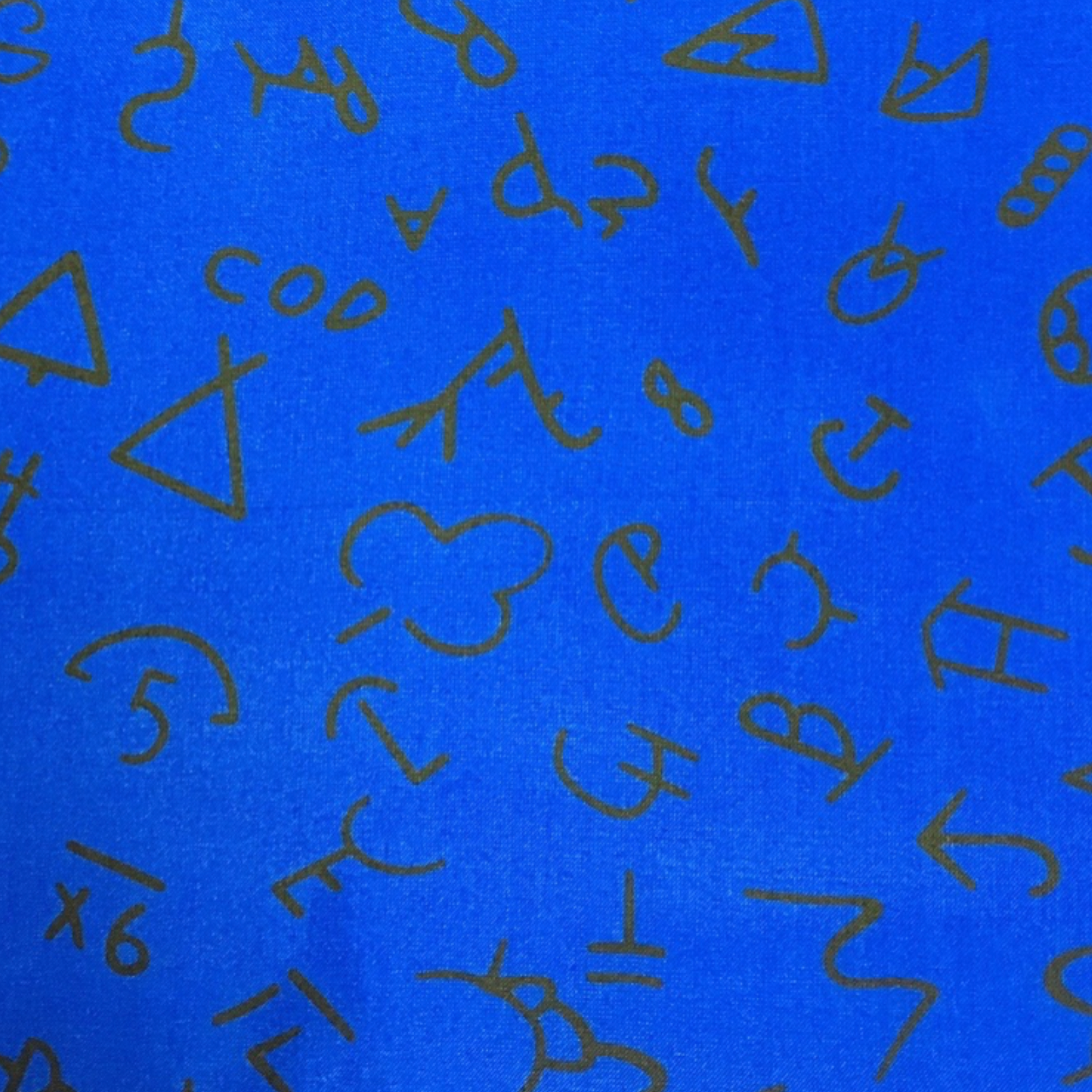 Wyoming Traders Royal/Black Western Brand Silk Scarf XL