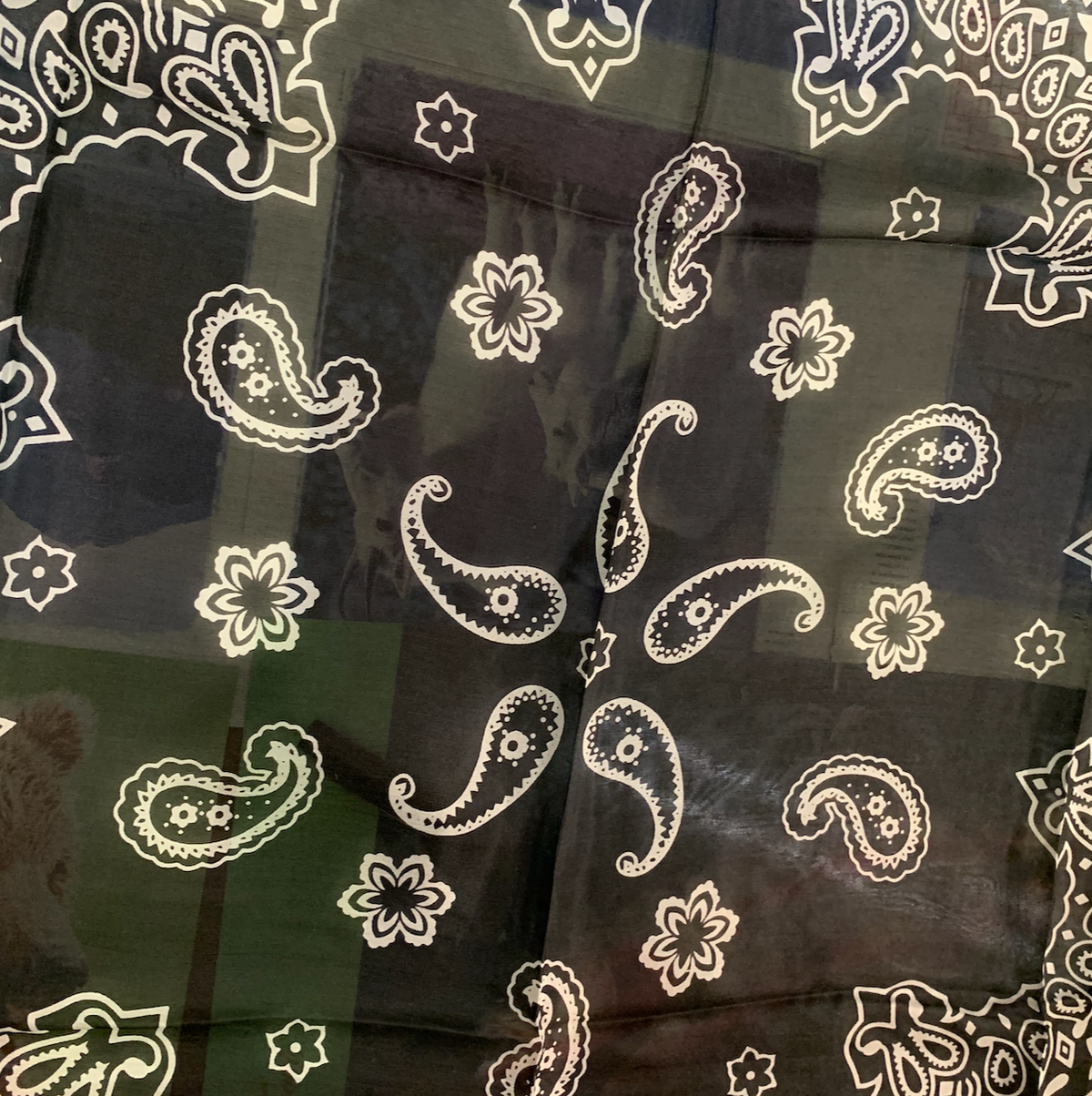 Austin Accent Black Vintage Western Bandana Silk Scarf - 19" X 19" SMALL - Bob's Outdoor