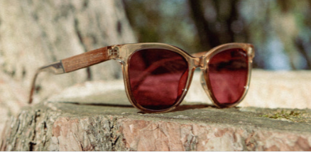 Camp Cove Smokey Bear HD Sunglasses