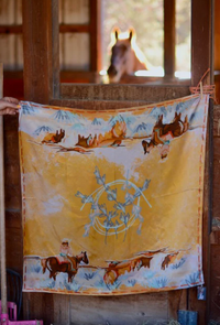 Tirzah Lane Art Mulberry Silk Scarf - Longhorn Open Range Cowgirl Western
