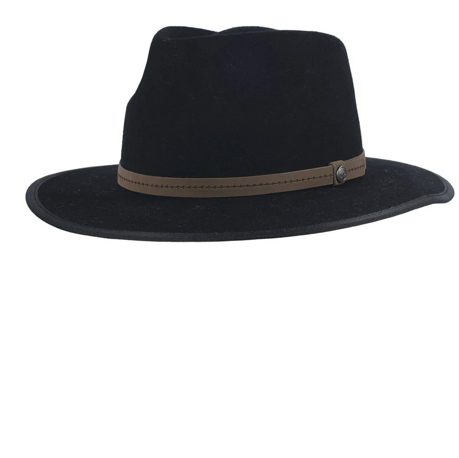 Pistil Womens Wren Hat