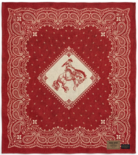 Pendleton Rodeo Spirit Red Throw