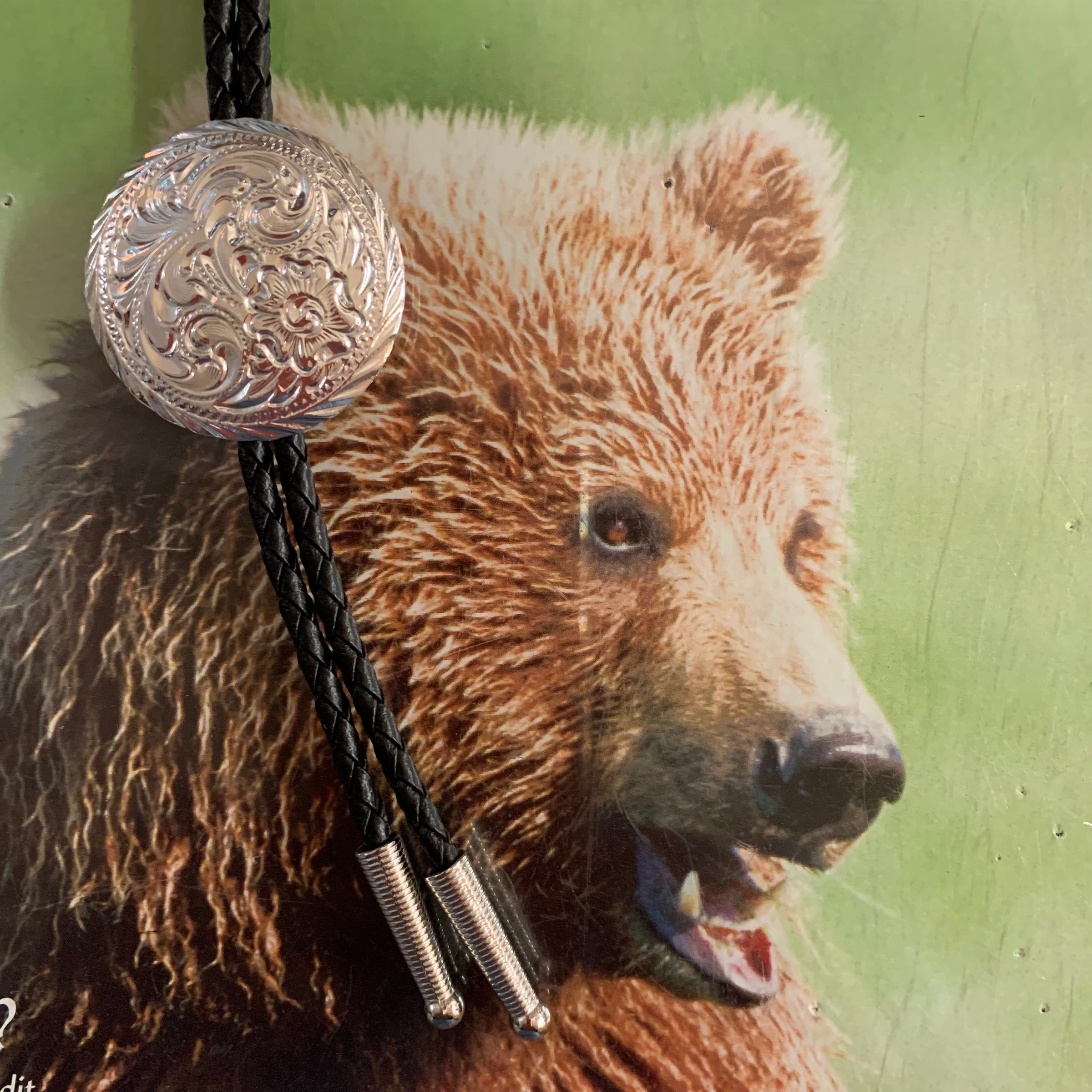 Austin Accent Bolo