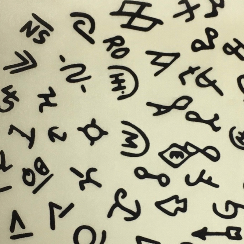 Wyoming Traders Ivory/Black Western Brand Silk Scarf