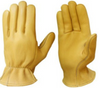 James Churchill Womens Deerskin Thinsulate LINED Gloves